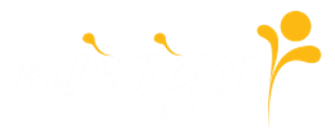 nivigo-logo
